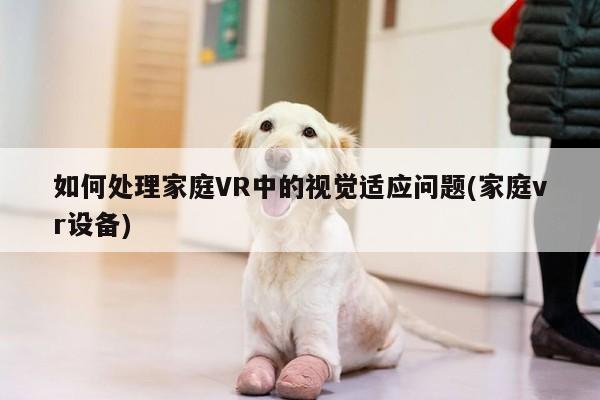 如何处理家庭VR中的视觉适应问题(家庭vr设备)：德赢官方