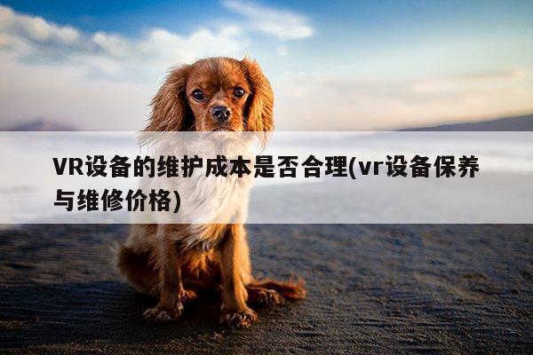 VR设备的维护成本是否合理(vr设备保养与维修价格)_德赢官方