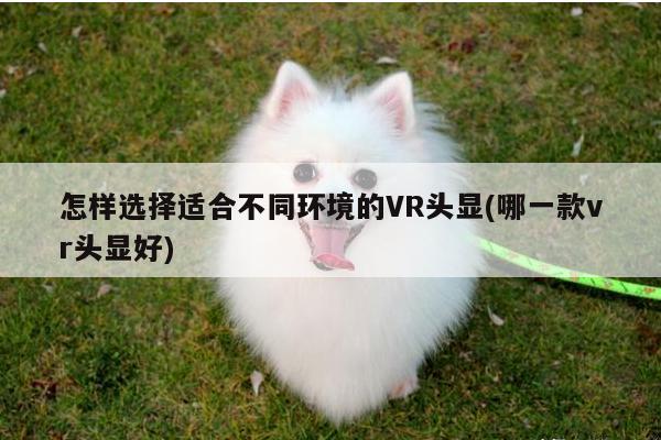 怎样选择适合不同环境的VR头显(哪一款vr头显好)|vwin网上官网