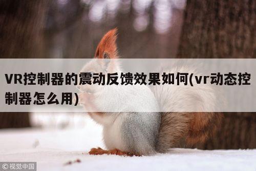 德赢vwin060：VR控制器的震动反馈效果如何(vr动态控制器怎么用)