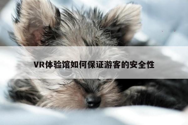 德赢vwin060：VR体验馆如何保证游客的安全性