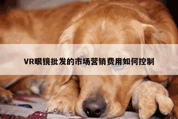 VR眼镜批发的市场营销费用如何控制：vwin网上官网