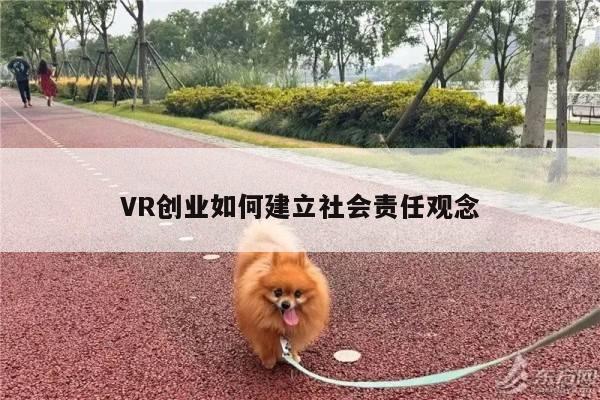 VR创业如何建立社会责任观念_德赢官方