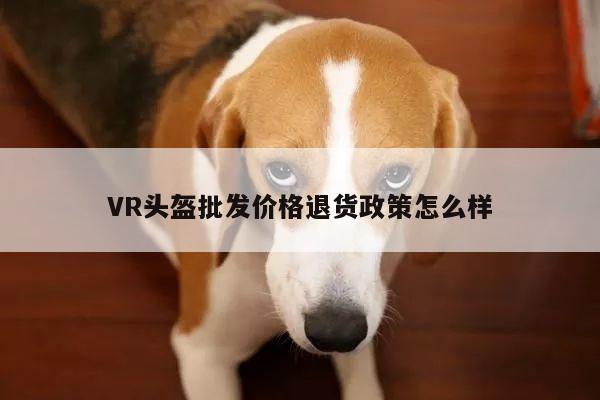 vwin网上官网|VR头盔批发价格退货政策怎么样