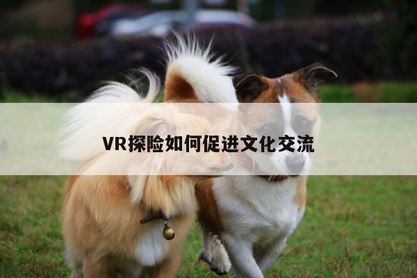 德赢vwin399|VR探险如何促进文化交流